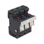 Schneider Df143c Silindirik (Kartuş) Sigorta Yuvası 14X51 50 A 3