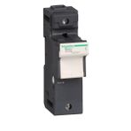 Schneider DF221 Tesys Df 22x58 mm 1P 125 Kartuş Yuvası Sigorta