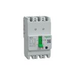 Schneider Electric Schneider Gopact 80A 3p Ayarlanabilir Kompakt Şalter G12F3A80