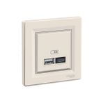 Schneider EPH2700323 Asfora 2li 2.4 Krem Çerçeveli USB Prizi