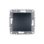 Schneider EPH5600171 Asfora Plus Antrasit Çerçevesiz Kör Kapak