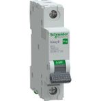 Schneıder EZ9F27132 Easy 9 Pro 1p 32A 6ka B Tipi Otomatik Sigorta