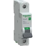 Schneıder EZ9F27140 Easy 9 Pro 1p 40A 6ka B Tipi Otomatik Sigorta