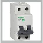Schneider EZ9F43240 C Tipi 2x40A Otomatik Sigorta