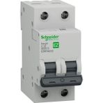 Schneider EZ9F56232 | Schneider Otomatik Sigorta - 32 Amper, 2 Kutup , 6ka, C Eğrisi - Easy - 30 cm