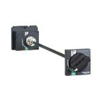 Schneider LV429338 Uzatmalı Döner Kurma Kolu