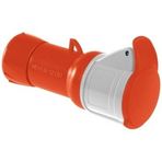 Schneider PKF16M434 4x16A IP44 3P+T Trifaze Vidalı CEE Norm Uzatma Prizi