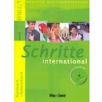 Schritte International 1 Niveau A1/1