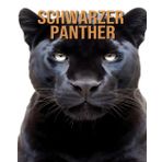 Schwarzer Panther: Erfahren Sie mehr über Schwarzer Panther und genießen Sie erstaunliche Fakten und Bilder