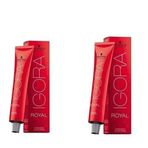 Schwarzkopf 2 Adet Igora Royal 5-6 Açık Kahve-Çikolata Saç Boyası
