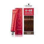 Schwarzkopf Igora Royal 60 ml 6-68 Koyu Kumral Çikolata Kızıl Saç Boyası