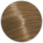 Schwarzkopf Igora Royal Absolutes 60 ml 9.50 Saç Boyası