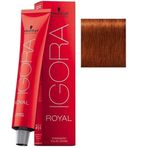 Schwarzkopf Igora Royal No:6.77 Koyu Kumral Yoğun Bakır Saç Boyası
