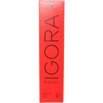 Schwarzkopf Igora Royal Saç Boyası 60ML-NO - 6.1 Küllü Koyu Kumral - standart