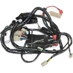 Scooter Gomax Elektrık Tesısatı Orj