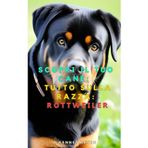 Scopri il tuo Cane: Tutto sulla razza: Rottweiler