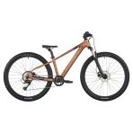 Scott Roxter 600 26 Jant Dağ Bisikleti 2026 425205