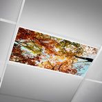 SCWISOAS Tavan Işıkları için Floresan Işık Kapakları - Floresan veya LED Armatür için Manyetik Bulut Kapağı 2ft x 4ft Sınıf, Ev, Ofis Dekorasyon Filtreleri Tepegöz Aydınlatması - Sonbahar Yaprakları