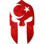 SDT Group Ay Yıldız Türk Bayrağı Miğfer 15 x 8,5 cm - Option-1 - -50 C