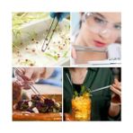 SDT Group Mangal Maşa Cımbızı Paslanmaz Çelik Mangal Chef Maşası, Profesyonel Mutfak Cımbızı, Uzun Saplı Gıda Cımbızı, Çok Fonksiyonlu Mangal Cımbızı,barbekü Maşası 30 cm - 02Y-Yeşil - Option-1