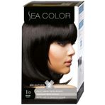 Sea Color 1.0 Siyah 3 Adet Saç Boyası