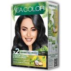 Sea Color 2 Tüp Krem Saç Boyası Seti Siyah No:1.0 - Renk Kodu Seçin
