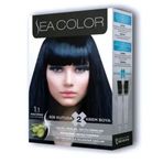 Sea Color 2Li Krem 1/1 Mavi Siyah 2 Set Saç Boyası