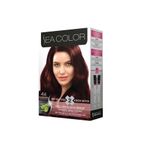 Sea Color 2Li Krem Saç Boyası 4/6 Kestane Kızıl 4/6sea