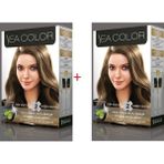 Sea Color 7.3 Fındık Kabuğu Set 2 Adet Saç Boyası+Oksidan