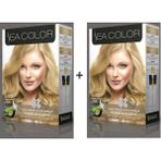 Sea Color 9.00 Yoğun Sarı Amonyaklı Saç Boyası Set 2 Kutu Kalıcı Parlak Renkler