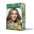 Sea Color Amonyaksız Saç Boyası 8.0 Açık Kumral