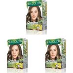 Sea Color Amonyaksız, Vegan, Doğal, Besleyici Kalıcı Saç BOYASI%100 Beyaz Kapama (1 Paket 2 x 50 ml Boya & Oksidan) (Açık Kumral 8.0) (3 Paketi) - Option-1