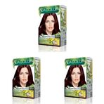 SEA COLOR Amonyaksız, Vegan, Doğal, Besleyici Kalıcı Saç Boyası%100 Beyaz Kapama (1 PAKET 2 x 50 ml Boya & OKSİDAN) (Kestane Kızılı 4.6) (3 paketi)