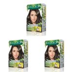 SEA COLOR Amonyaksız, Vegan, Doğal, Besleyici Kalıcı Saç Boyası%100 Beyaz Kapama (1 PAKET 2 x 50 ml Boya & OKSİDAN) (Küllü Kumral 7.1) (3 paketi)