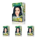 SEA COLOR Amonyaksız, Vegan, Doğal, Besleyici Kalıcı Saç Boyası%100 Beyaz Kapama (1 PAKET 2 x 50 ml Boya & OKSİDAN) (Mavi Siyah 1.1) (4 paketi)