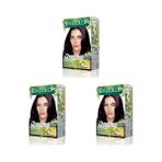 Sea Color Amonyaksız, Vegan, Doğal, Besleyici Kalıcı Saç BOYASI%100 Beyaz Kapama (1 Paket 2 x 50 ml Boya & Oksidan) (Patlıcan Moru 3.66) (3 Paketi) - Option-1