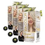 Sea Color Home Colorist Set Saç Boyası 0.1 İnci Tozu Pearl Glım (3 paketi)