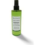 Sea Color Rosemary Aloe Vera Özlü Dökülme Karşıtı Saç Derisi Toniği Pro-Vitamin B5 220 ml - 1