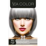 Sea Color Set Boya 0.01 Füme Gri Krem Formda Kalıcı Parlak Renkler İçin Etkili Saç Boyası - 0/01 Füme Gri