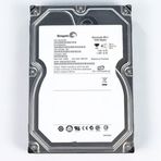 Seagate Barracuda ES.2 1TB ST31000640SS Sabit Disk