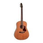 Seagull Coastline Momentum Elektro Akustik Gitar Natural