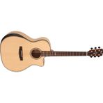 Seagull Elektro Akustik Gitar