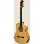 Seagull Elektro Klasik Gitar