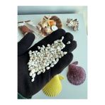 Seashell Rio Apex Kesim Deniz Kabuğu - Takı Yapımı İçin Doğal Malzeme - 1 cm (200 Adet)