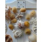 Seashell Rio Deniz Süngeri / 1 Adet / 3 - 5 cm