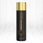 Sebastian Dark Oil Saç Bakımı 250 ml Şampuan