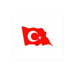 Seç Dalgalı Türk Bayrağı Yeni Sticker Çok Amaçlı Etiket Sticker