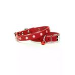 Seçkin Trend SCKN-297269 Taşlı Kedi Ve Yavru Köpek Tasması 1,0X19 Cm Kırmızı Small