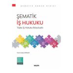 Seçkin Yayıncılık Şematik İş Hukuku Toplu İş Hukuku Boyutuyla Prof. Dr. Alpay Hekimler