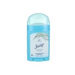 Secret Deo Stick Shower Fresh 48g